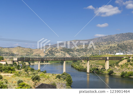 Typical Douro landscape near Pocinho, UNESCO site, Vila Nova de Foz Coa, Alto Douro wine region, Portugal Typical Douro landscape near Pocinho, UNESCO site, Vila Nova de Foz Coa, Alto Douro wine region, Portugal 123901464
