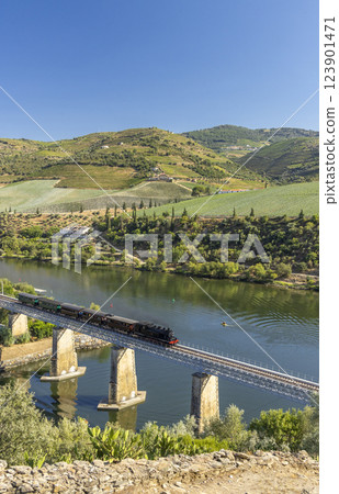 Steam train on railway bridge (Ponte Ferroviaria do Tua), Tua, Alto Douro, Portugal Steam train on railway bridge (Ponte Ferroviaria do Tua), Tua, Alto Douro, Portugal 123901471