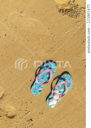 flip flops with seashells on the beach 123901475