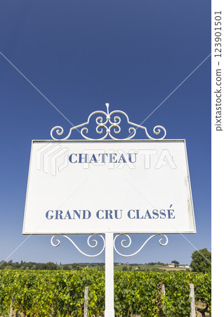 Typical vineyards with information board Grand Cru Classe near Saint-Emilion, Bordeaux, Aquitaine, France 123901501