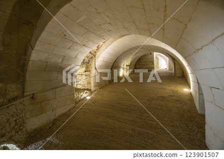 Troglodyte cellar in Breze Castle (Chateau de Breze), UNESCO World Heritage Site, Pays de la Loire, France 123901507
