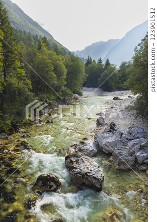 Typical landscape near river Soca, Triglavski national park, Slovenia Typical landscape near river Soca, Triglavski national park, Slovenia 123901512