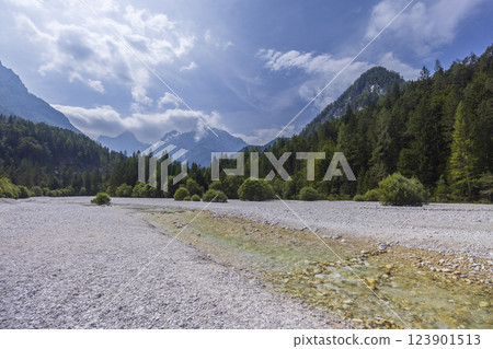 Pisnica river near Kranjska Gora, Triglavski national park, Slovenia Pisnica river near Kranjska Gora, Triglavski national park, Slovenia 123901513