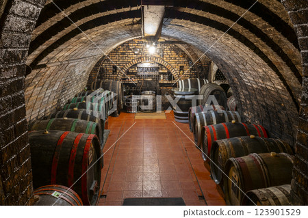 Wine cellars with barrels in Ivan, Southern Moravia, Czech Republic 123901529