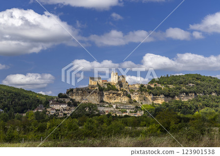 Chateau de Beynac castle, Beynac-et-Cazenac, Dordogne departement, France 123901538