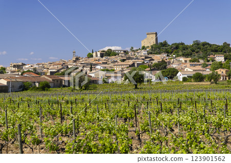 Typical vineyard with stones near Chateauneuf-du-Pape, Cotes du Rhone, France Typical vineyard with stones near Chateauneuf-du-Pape, Cotes du Rhone, France 123901562