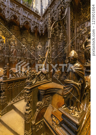interior of the cathedral of Sainte-Marie in Auch, Gers department, Occitanie, France 123901664
