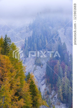 Landscape near Sella di Razzo and Sella di Rioda pass, Carnic Alps, Friuli-Venezia Giulia, Italy 123901669