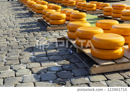 series of cheeses in a row in the Netherlands series of cheeses in a row in the Netherlands 123901710