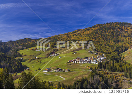 Typical landscape near San Martin de Tor, Dolomiti, South Tyrol, Italy Typical landscape near San Martin de Tor, Dolomiti, South Tyrol, Italy 123901716