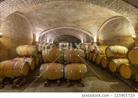Wine cellar in Canale, Piedmont, Italy 123901720