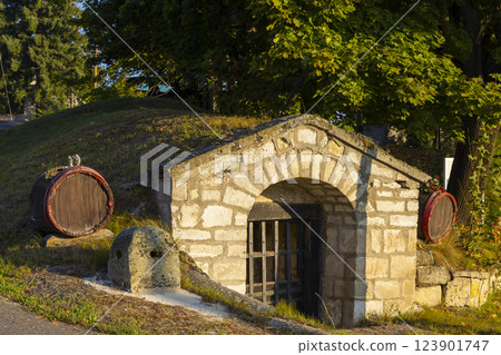 Traditional wine cellars in Tolcsva, Great Plain, North Hungary Traditional wine cellars in Tolcsva, Great Plain, North Hungary 123901747