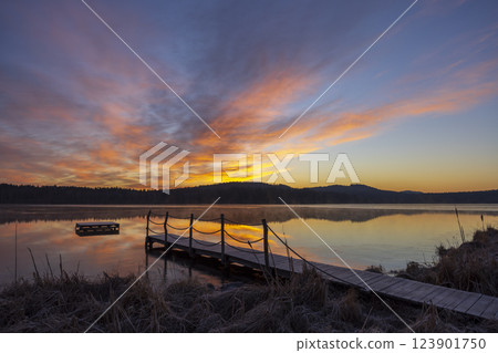 nature reserve Olsina, Sumava National Park, Czech Republic 123901750