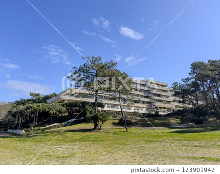 View of a modern residential building set among pine trees near Arcachon Plage Pereire showcasing View of a modern residential building set among pine trees near Arcachon Plage Pereire showcasing 123901942