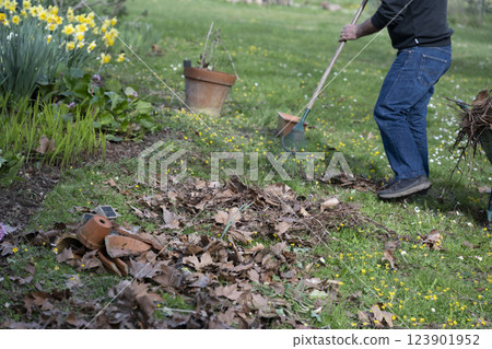 Gardeners cleaning fallen leaves in the garden in sunny spring day Gardeners cleaning fallen leaves in the garden in sunny spring day 123901952