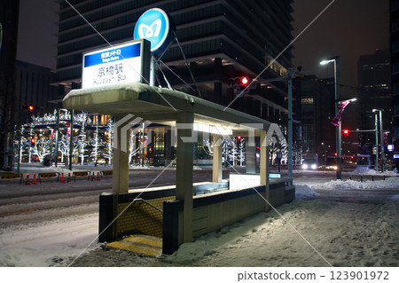 2014年大雪:京橋十字路口~京橋二丁目(東京都中央區) 2014年大雪:京橋十字路口~京橋二丁目(東京都中央區) 123901972