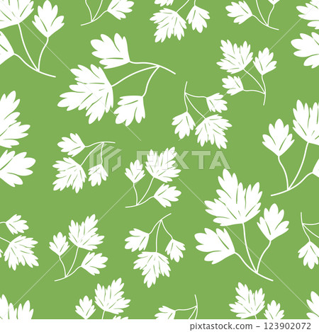 Seamless pattern white leaves parsley on green Seamless pattern white leaves parsley on green 123902072