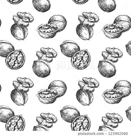 Hand drawn walnut sketch vector illustration. Seamless pattern walnut kernel, whole walnut, shell sketch icon. Fresh organic food, oil. Black and white nut drawing. Isolated on white background. 123902080