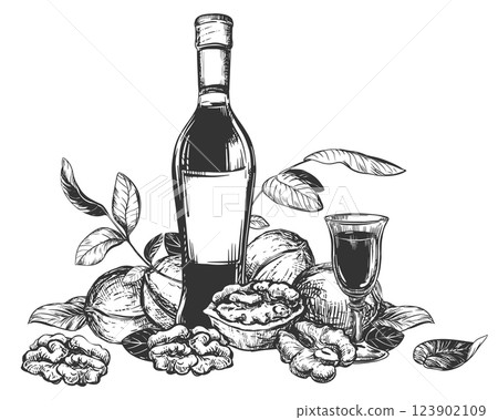 Vector Walnut liqueur in engraving technique. Ripe walnut seeds whole and halves and leaves. Bottle of walnut liqueur, glass with aperitif. Linear sketch in black ink on white background. Vector Walnut liqueur in engraving technique. Ripe walnut seeds whole and halves and leaves. Bottle of walnut liqueur, glass with aperitif. Linear sketch in black ink on white background. 123902109