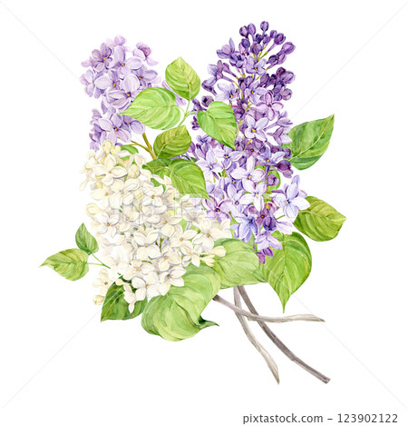 Bouquet of lilac isolated on background. White, purple and lilac spring watercolor flowers. Illustration for greeting cards with the image of Mother's Day, Women's Day, wedding in Provence style. Bouquet of lilac isolated on background. White, purple and lilac spring watercolor flowers. Illustration for greeting cards with the image of Mother's Day, Women's Day, wedding in Provence style. 123902122