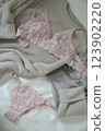 Woman's silk erotic lingerie on the white bed sheets. Valentine's day concept. Lace sexy female underwear. Beauty, fashion blogger concept. Female bra, panties, erotic clothes. Lingerie advertising 123902220