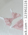 Woman's silk erotic lingerie on the white bed sheets. Valentine's day concept. Lace sexy female underwear. Beauty, fashion blogger concept. Female bra, panties, erotic clothes. Lingerie advertising 123902228