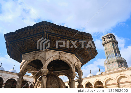 Alabaster mosque in Cairo 123902600