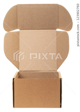 Open Cardboard Box isolated on white 123902760