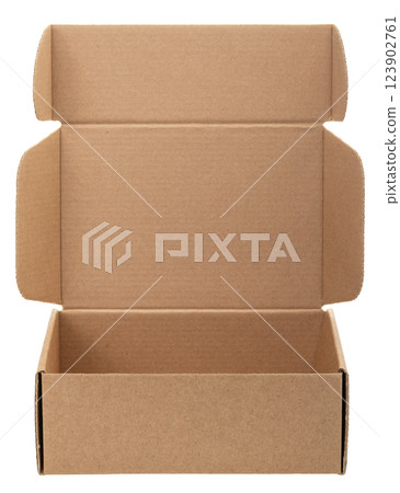 Open Cardboard Box isolated on white 123902761