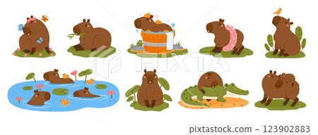 Cute capybaras. Cartoon capybara characters. Funny rodent in various poses and expressions. Animal swimming, playing, eating, relaxing. Kids happy mammal vector set 123902883