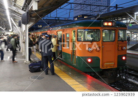 山陽本線115系列湘南彩色列車停靠岡山站（相生-岡山⇔絲崎） 123902939