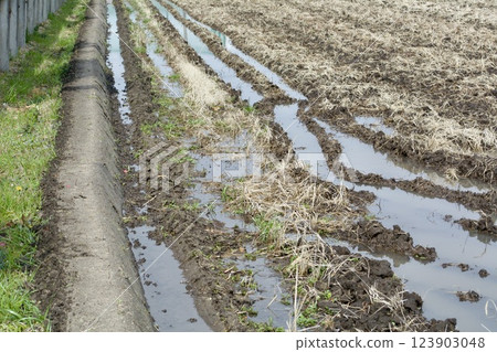 稻田造土 123903048