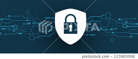 Cyber security. Lock on shield 123903098