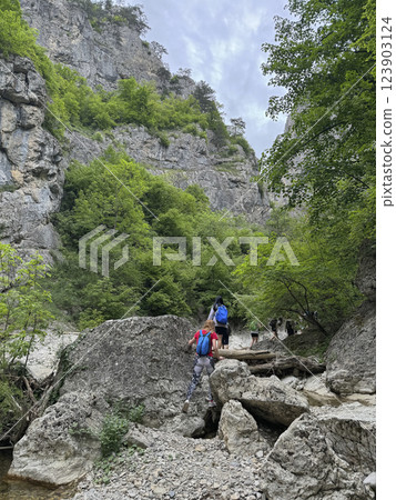 Tourists climb to the top of the mountain through the green forest on a journey 123903124