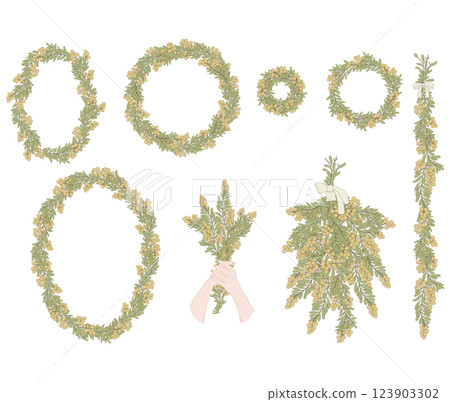 Mimosa wreath / Mimosa swag 123903302
