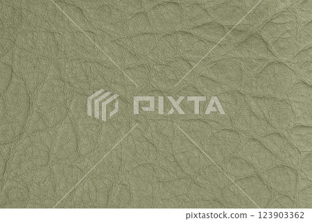 Green leather texture with fine wrinkles and natural grain. Unique and stylish background for luxury and sustainable fashion designs Green leather texture with fine wrinkles and natural grain. Unique and stylish background for luxury and sustainable fashion designs 123903362