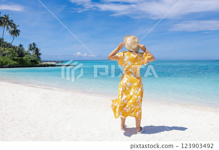 A young woman in a light floral print dress and a straw hat stands on the beach and looks at the seascape. A girl enjoys a vacation on tropical islands. View from back. A young woman in a light floral print dress and a straw hat stands on the beach and looks at the seascape. A girl enjoys a vacation on tropical islands. View from back. 123903492