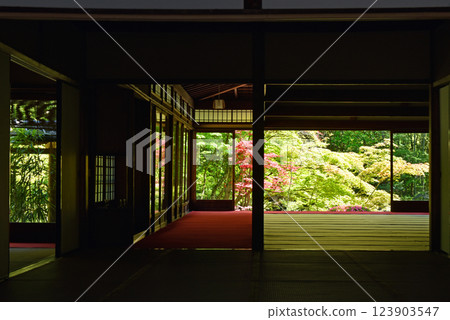 Tenjuan, Nanzenji Temple reflecting the fresh greenery Tenjuan, Nanzenji Temple reflecting the fresh greenery 123903547