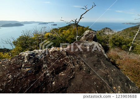 View of Yuasa Bay from Myoe Shonin Nishihirakami Ruins [Yuasa Town, Wakayama Prefecture] 123903688