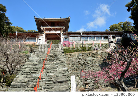 和歌浦天滿宮和梅[和歌山縣和歌山市] 123903800