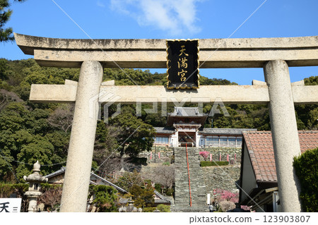 Wakaura Temmangu and Ume [Wakayama City, Wakayama Prefecture] 123903807