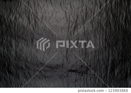 Dark Fur Texture with Subtle Highlights and Shadows 123903868