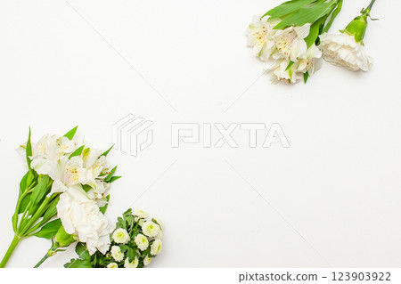 Bouquet of beautiful flowers on white background 123903922