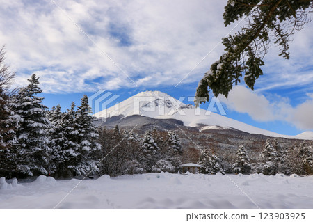 雪山富士山 雪山富士山 123903925