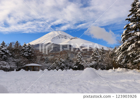 雪山富士山 雪山富士山 123903926