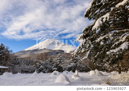 雪山富士山 雪山富士山 123903927