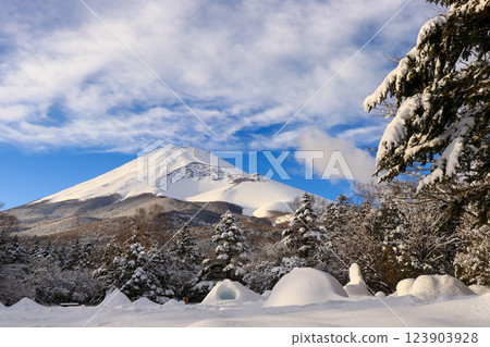 雪山富士山 123903928