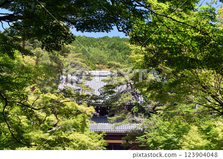 Nanzenji Temple's lecture hall surrounded by fresh greenery Nanzenji Temple's lecture hall surrounded by fresh greenery 123904048