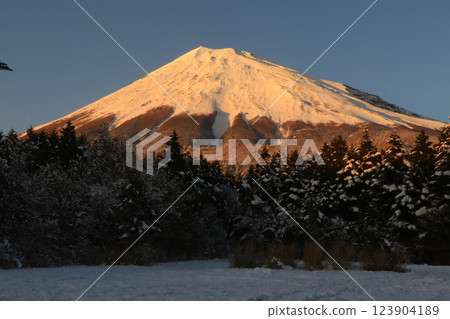 雪山富士山 雪山富士山 123904189