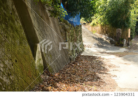馬留大手社遺址（石碑）[和歌山縣廣川町] 123904331